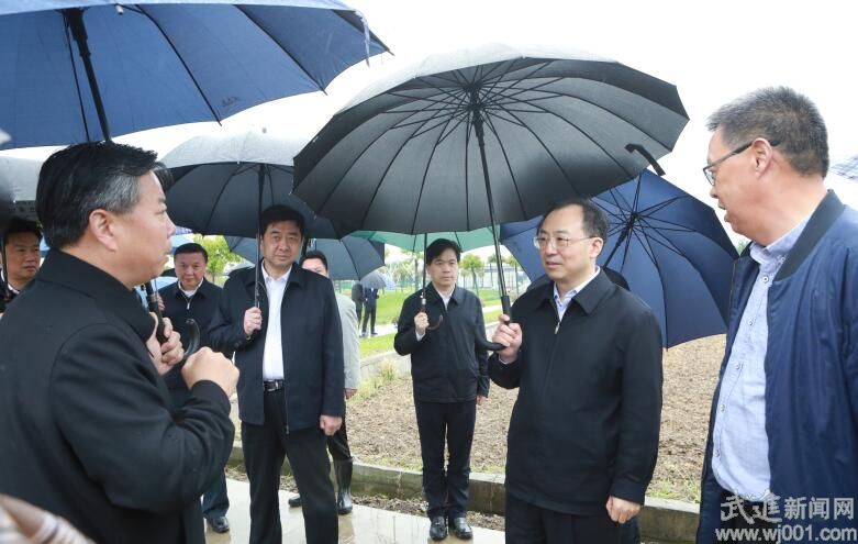 武进新闻手机版武进新闻生活连线