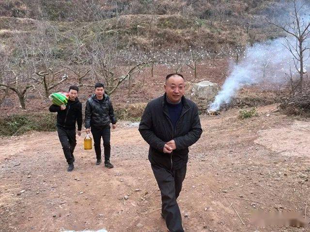 关于灵台县苹果镇新闻头条号的信息