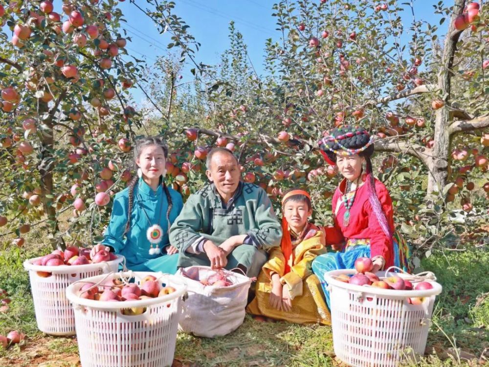 盐源苹果园新闻盐源为什么不建议买