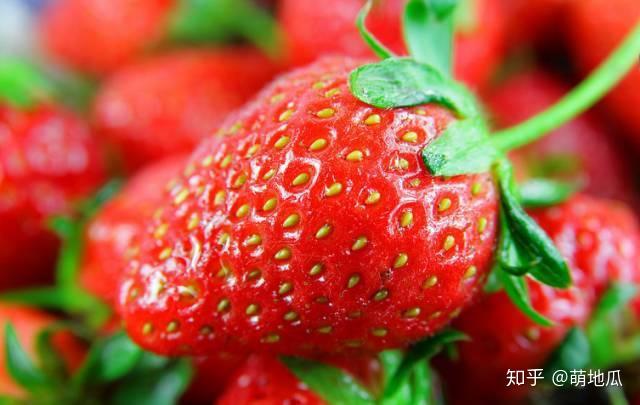 美国苹果辐射高吗知乎新闻苹果手机14在美国卖多少钱-第2张图片-太平洋在线下载
