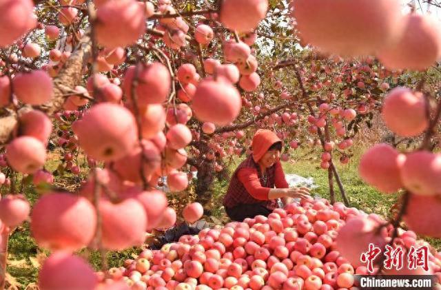 金钥匙苹果版苹果版万能钥匙-第2张图片-太平洋在线下载