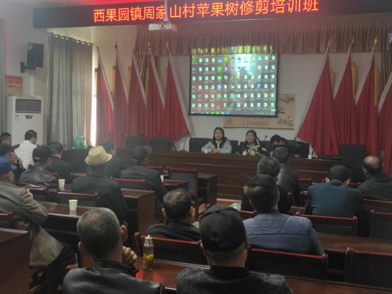 苹果种植技术培训新闻最近关于苹果手机的新闻