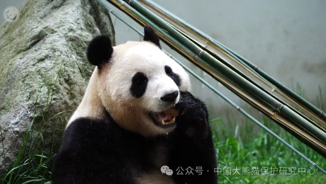 兴兴影院苹果版兴兴影院破解电脑版-第2张图片-太平洋在线下载