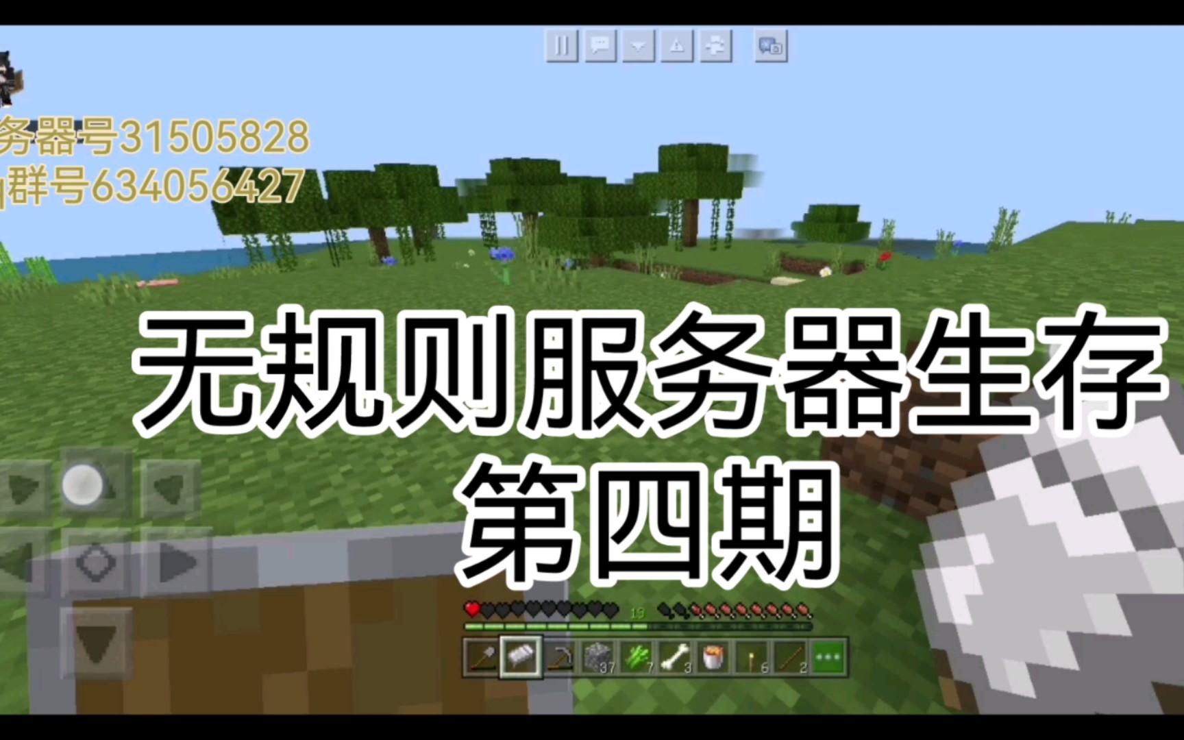 我的世界手机版服务器生存我的世界基岩版空岛生存服务器