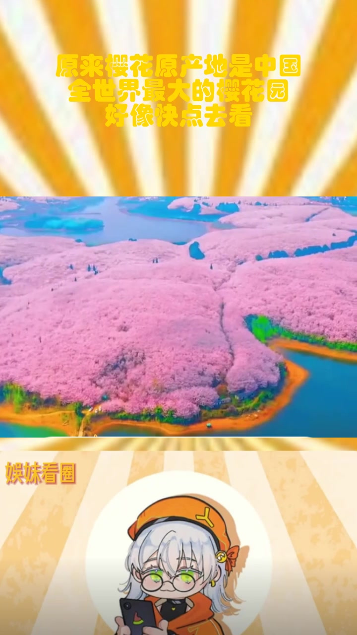 樱花世界安卓版樱花免费安卓手机版下载