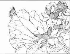 白描安卓版下载白描贷app下载