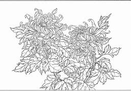白描安卓版下载白描贷app下载-第2张图片-太平洋在线下载