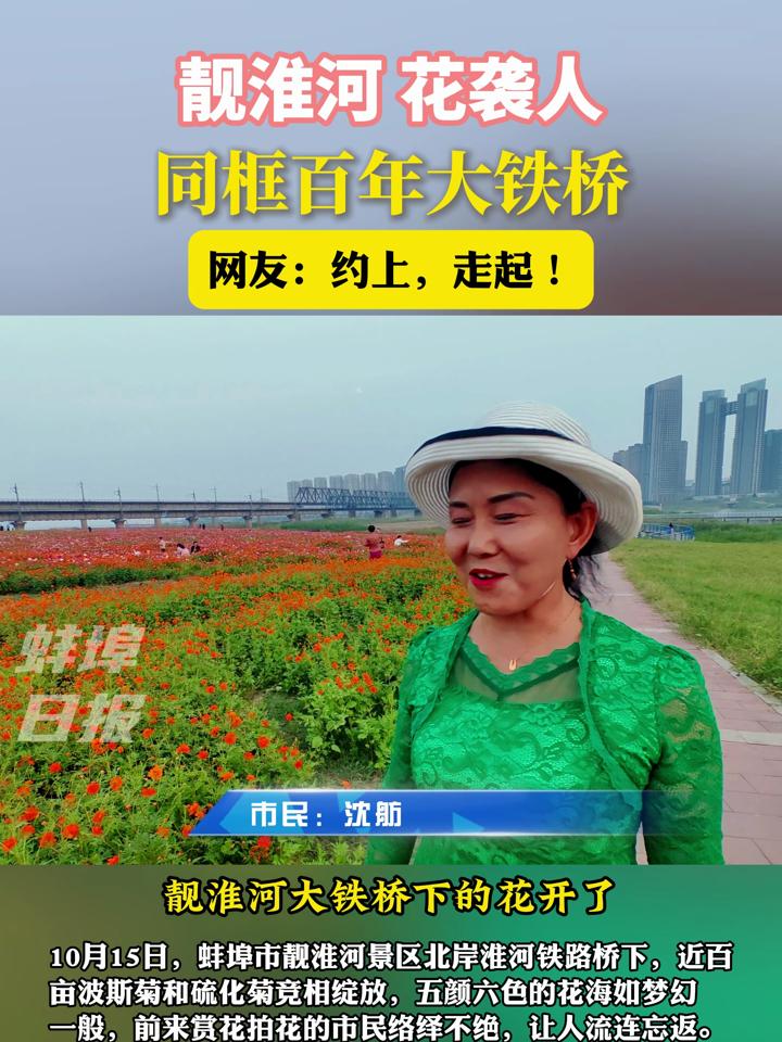 蚌埠市民客户端蚌埠学院校园网客户端