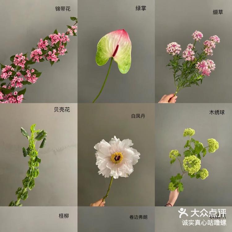 锦带花app苹果版花伍鲜花交易平台网页版-第2张图片-太平洋在线下载