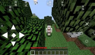 我的世界手机版网站(我的世界手机版网站入口)-第4张图片-QuickQ官网