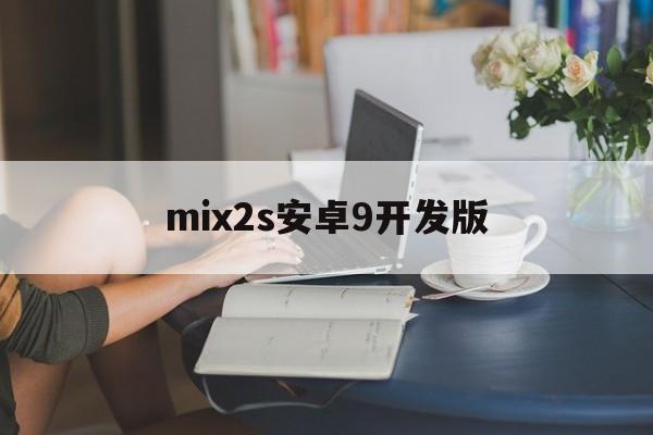mix2s安卓9开发版(mix2s开发板miui12)-第2张图片-QuickQ官网