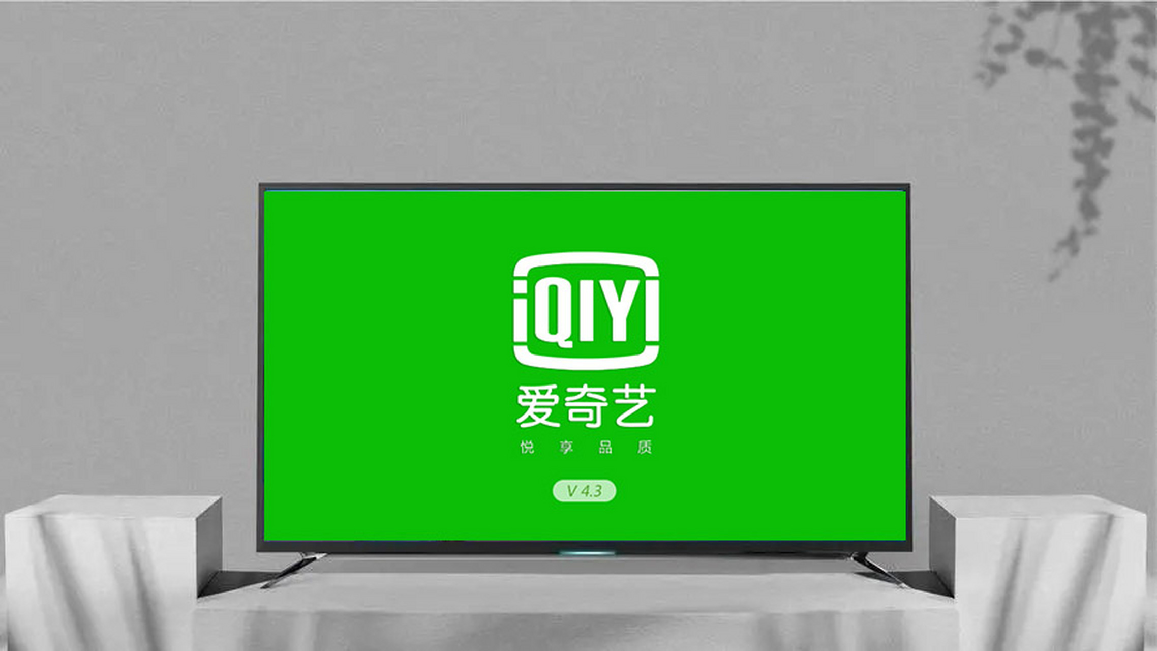 安卓版爱奇艺去广告(手机爱奇艺去广告插件)-第2张图片-QuickQ官网